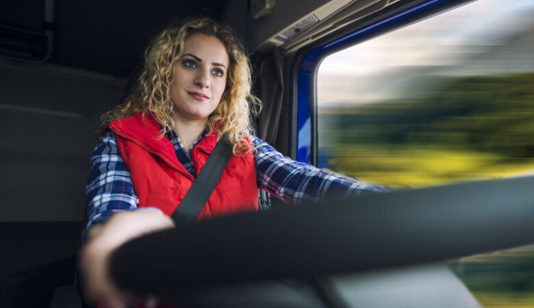 Chauffeur / Livreur VL (H/F)